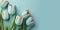 Empty clean light blue background with fresh tulip flowers and copy space