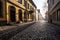 empty cobblestone street with building shadows