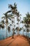 Empty Coconut Tree Hill in Mirissa at sunrise. Breathtaking view at a popular touristic destination in Sri Lanka. Palm trees