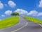 Empty country asphalt road and big tree on green field