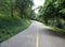 Empty country asphalt road that goes to somewhere with yellow line at the middle of the road and many forest trees and grass