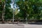 An Empty Crosswalk to Central Park in New York City