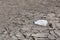 Empty crumpled plastic bottle on dry cracked mud desert like gray background
