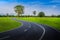 Empty curved road on green grass with tree.