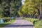 Empty curved road, street lamps, wooden fence and green trees