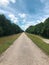 Empty cycling path with green vegetation around