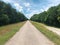 Empty cycling path with green vegetation around