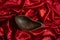 Empty dark brown wood bowl, on red satin, background. abstract mockup