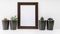 Empty dark photo frame, four succulents in dark pots on a white background. MockUp. Scandinavian style in the interior