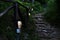 Empty and dark stone path through nature illuminated by lamps hung on a wooden fence