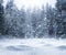 Empty defocused winter background