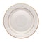 Empty dinner plate