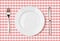 Empty dinner plate top view on pink picnic tablecloth