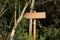 Empty Direction Sign in a Forest