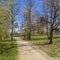 Empty dirt path, track, trail or pathway through the trees and green grass lawn