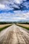 Empty dirt road in between corn fields