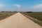 Empty dirt road through the fields. Fluffy clouds on a warm summer Sunny day over a field of wheat. Pure nature away from the big