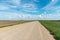 Empty dirt road through the fields. Fluffy clouds on a warm summer Sunny day over a field of wheat. Pure nature away from the big