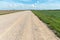 Empty dirt road through the fields. Fluffy clouds on a warm summer Sunny day over a field of wheat. Pure nature away from the big