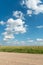 Empty dirt road through the fields. Fluffy clouds on a warm summer Sunny day over a field of wheat. Pure nature away from the big