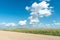 Empty dirt road through the fields. Fluffy clouds on a warm summer Sunny day over a field of wheat. Pure nature away from the big