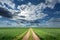 Empty dirt road at idyllic sunny day