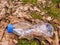 Empty discarded plastic water bottle in a forest