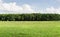 Empty dry cracked swamp reclamation soil, land plot for housing construction Green meadow,