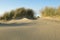 Empty dunes on a summerday