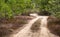 Empty dusty rural road background photo