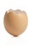 Empty eggshell