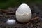 Empty eggshell of a vanished species its delicate remains hinting at what once was.. AI generation