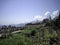 Empty embankment along the sea with beautiful fencing, lawns and decorative flowers