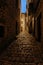 Empty evening or night european street with Cobblestones, in the light of a lantern. Rovinj, Croatia.