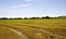 Empty field in between harvest