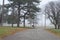 An empty, foggy walking trail