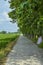 Empty footpath nature sideway trees open sky and beautiful atmosphere