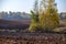 empty freshly cultivated agro field in late autumn in bright day