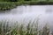 An empty freshwater marsh at the Russell W. Peterson Urban Wildlife Refuge in Wilmington, Delaware