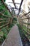 Empty garden trellis outside of Winchester Castle