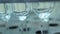 Empty glass flasks in laboratory. Closeup. Laboratory glassware