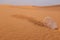 Empty glass of water on a desert land showing dehydration and water shortage concept