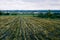 Empty Grain Field
