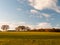 Empty grass land country trees blue sky clouds landscape plain