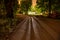 empty gravel road in autumn