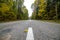 empty gravel road in autumn