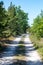 empty gravel road in autumn