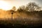 Empty gravel road and black sign with dust in countryside with t