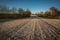 Empty gravel road in countryside in perspective with trees in surroundings. Summer colors.