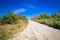 Empty gravel road in new zealand